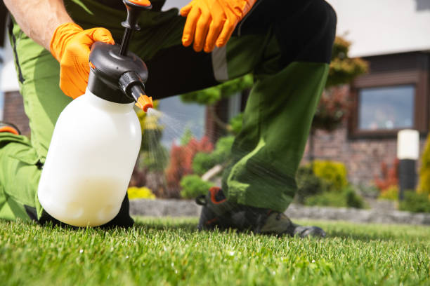 Best Best Pest Control Companies  in Harrison, WI