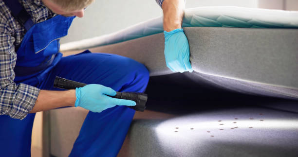 Best Rat Extermination Near Me  in Harrison, WI