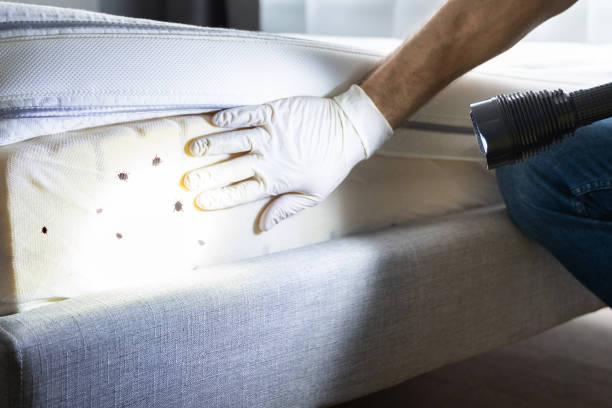 Best Mosquito Control Services  in Harrison, WI